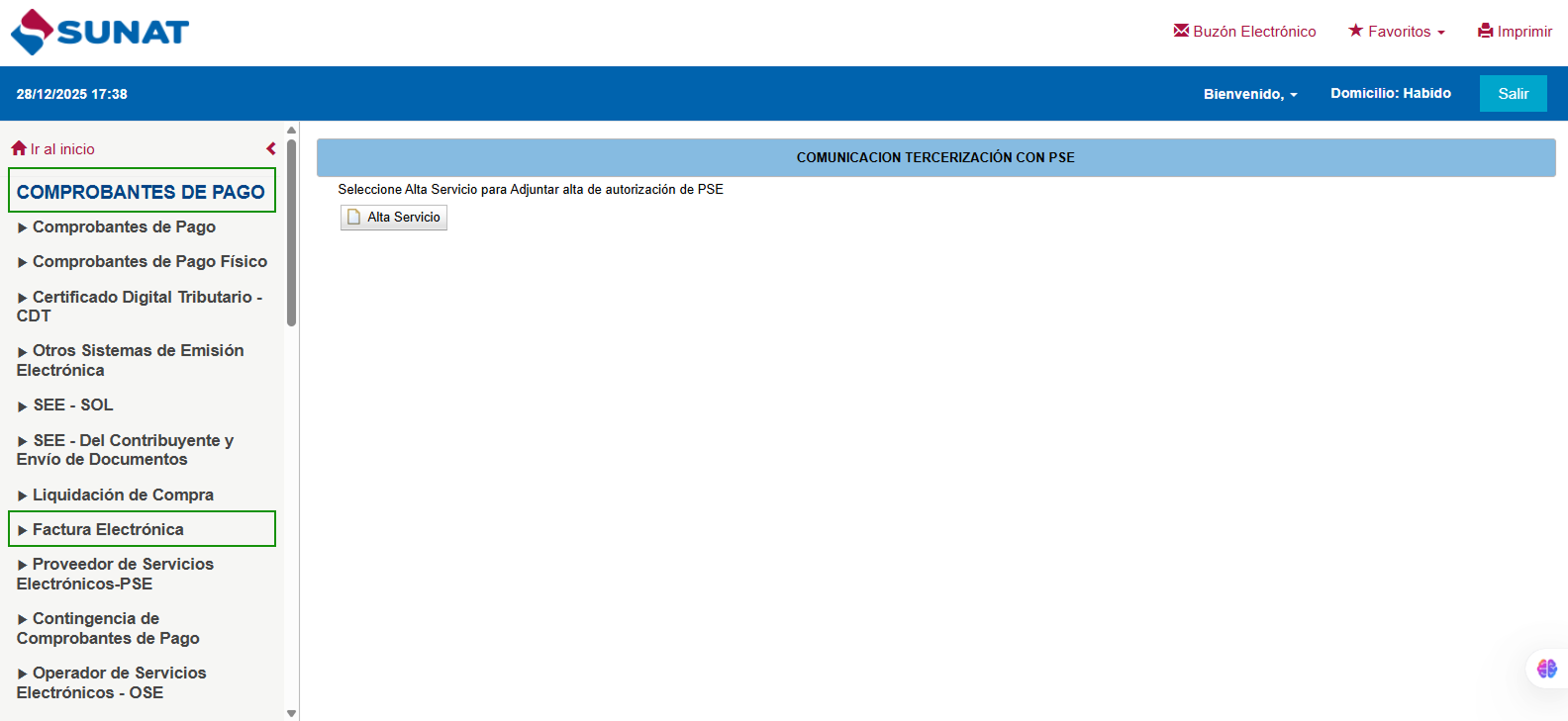 Factura Electrónica